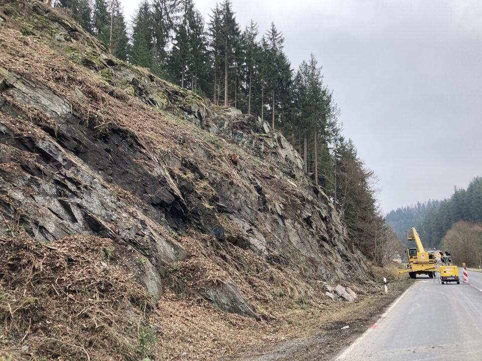 Das Bild zeigt eine steile Felsböschung direkt am Straßenrand, die aus dunklen, kantigen Gesteinsplatten besteht. Die Oberfläche ist teilweise von trockenem Laub und Pflanzenresten bedeckt, während am oberen Rand ein dichter Wald mit hohen Nadelbäumen sichtbar ist. Rechts auf der Straße steht ein großes gelbes Baustellenfahrzeug, und der Himmel ist grau und bewölkt, was auf trübes Wetter hinweist.