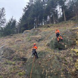 Das Bild zeigt zwei Personen in orangefarbener Schutzkleidung und Helmen, die an einer steilen, felsigen Böschung arbeiten. Sie sind mit Seilen gesichert und kontrollieren ein großflächiges Drahtnetz, das zur Sicherung gegen Steinschlag angebracht ist. Im Hintergrund sind hohe Bäume und ein bewaldeter Hang zu sehen, während der Boden mit Moos und Gras bewachsen ist.