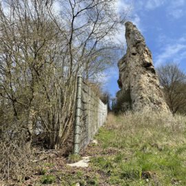 Das Bild zeigt eine naturnahe Landschaft mit einem schmalen Streifen aus Gras und niedriger Vegetation, der sich entlang eines Metallzauns erstreckt. Links neben dem Zaun wachsen dichte Sträucher und kleine Bäume mit dünnen, verzweigten Ästen, die teilweise noch ohne Laub sind. Rechts im Bild steht ein markanter, steil aufragender Felsen, der sich deutlich vom blauen Himmel mit vereinzelten weißen Wolken abhebt.