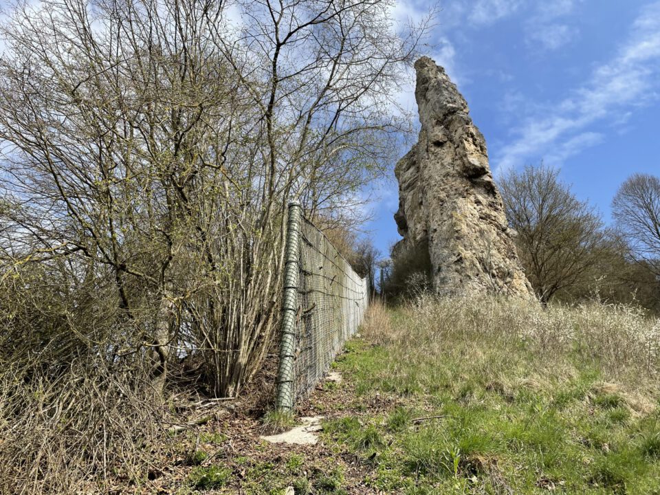 Das Bild zeigt eine naturnahe Landschaft mit einem schmalen Streifen aus Gras und niedriger Vegetation, der sich entlang eines Metallzauns erstreckt. Links neben dem Zaun wachsen dichte Sträucher und kleine Bäume mit dünnen, verzweigten Ästen, die teilweise noch ohne Laub sind. Rechts im Bild steht ein markanter, steil aufragender Felsen, der sich deutlich vom blauen Himmel mit vereinzelten weißen Wolken abhebt.