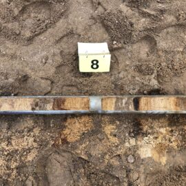 Das Bild zeigt eine metallische Bohrkernhülse, die auf einem sandigen Untergrund liegt und mehrere Aussparungen mit Bodenmaterial enthält. Die Probe zeigt unterschiedliche Schichtungen in hellen und dunklen Brauntönen, was auf verschiedene Bodenhorizonte hinweist. Oberhalb der Hülse befindet sich ein gelber Marker mit der Zahl 8 zur Kennzeichnung der Bohrung.