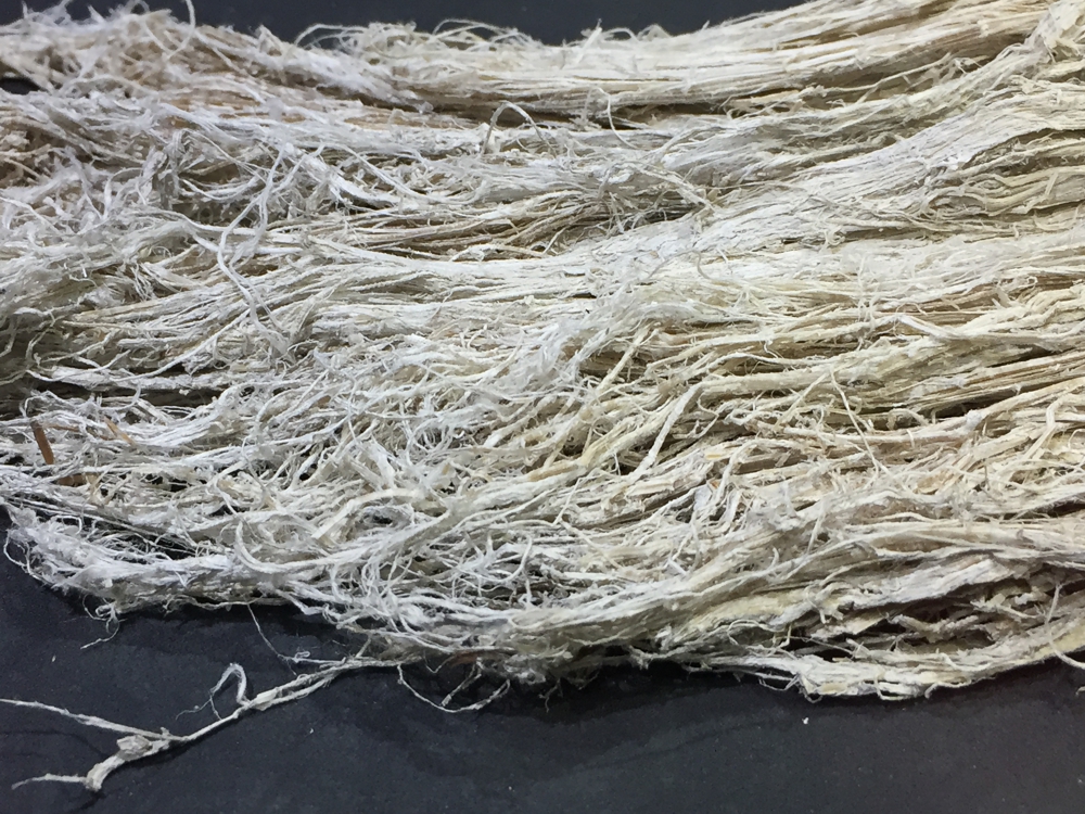 Zu sehen ist ein dichtes Bündel aus langen, hellen, faserigen Strukturen. Die Fasern liegen unregelmäßig übereinander, wirken ausgefranst, weich und stark verfilzt. Farblich bewegen sie sich zwischen Weiß, Creme und leicht gelblich.