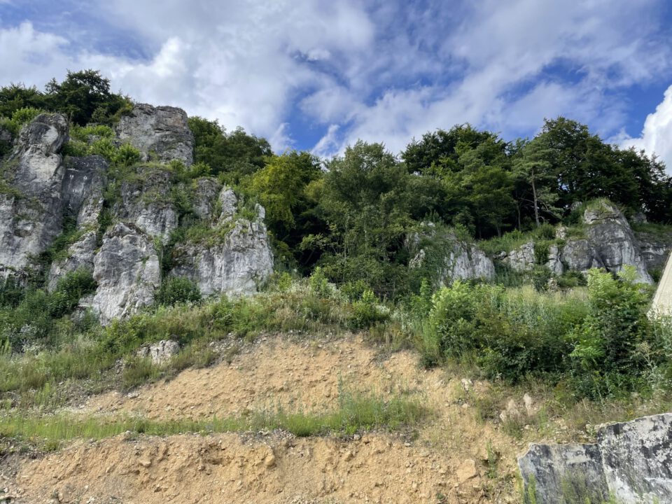 Das Bild zeigt eine steile, felsige Hanglandschaft mit mehreren grau-weißen Kalkfelsformationen, die unregelmäßig aus dem bewachsenen Hang herausragen. Die Felsen sind zerklüftet, teils senkrecht aufragend und von dichter Vegetation durchzogen. Zwischen und über den Felsen wachsen Laubbäume, Sträucher und Büsche in unterschiedlichen Grüntönen. Im unteren Bereich ist ein freigelegter, erdiger Hangabschnitt mit gelblich-braunem Boden zu sehen, der stufenartig abfällt.