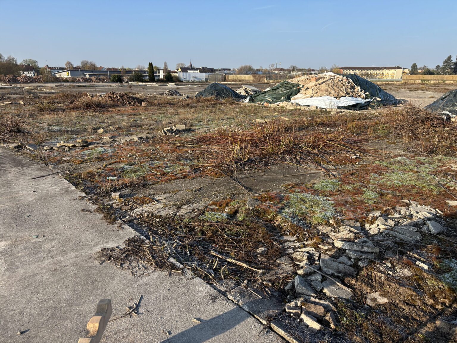 Auf dem Bild ist eine weitläufige, brachliegende Fläche mit aufgebrochenem Beton und überwuchertem Boden zu sehen. Mehrere Haufen aus Bauschutt und Erdmaterial liegen verteilt auf dem Gelände, teilweise mit Planen abgedeckt. Im Hintergrund sind Gebäude, Bäume und ein klarer Himmel erkennbar, was auf ein ehemaliges Gewerbe- oder Industriegelände hindeutet.