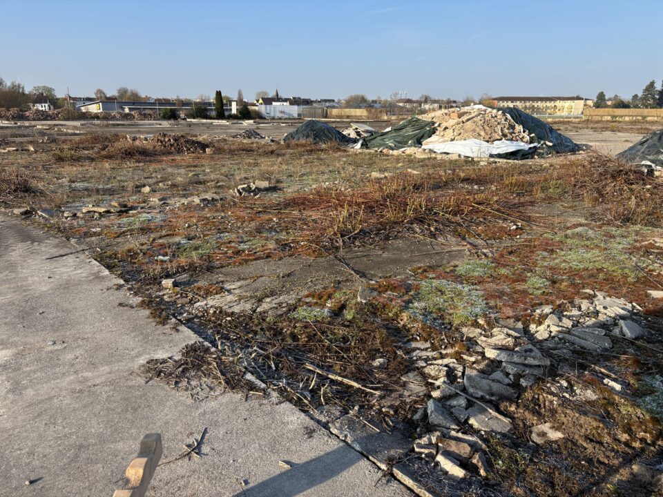 Auf dem Bild ist eine weitläufige, brachliegende Fläche mit aufgebrochenem Beton und überwuchertem Boden zu sehen. Mehrere Haufen aus Bauschutt und Erdmaterial liegen verteilt auf dem Gelände, teilweise mit Planen abgedeckt. Im Hintergrund sind Gebäude, Bäume und ein klarer Himmel erkennbar, was auf ein ehemaliges Gewerbe- oder Industriegelände hindeutet.