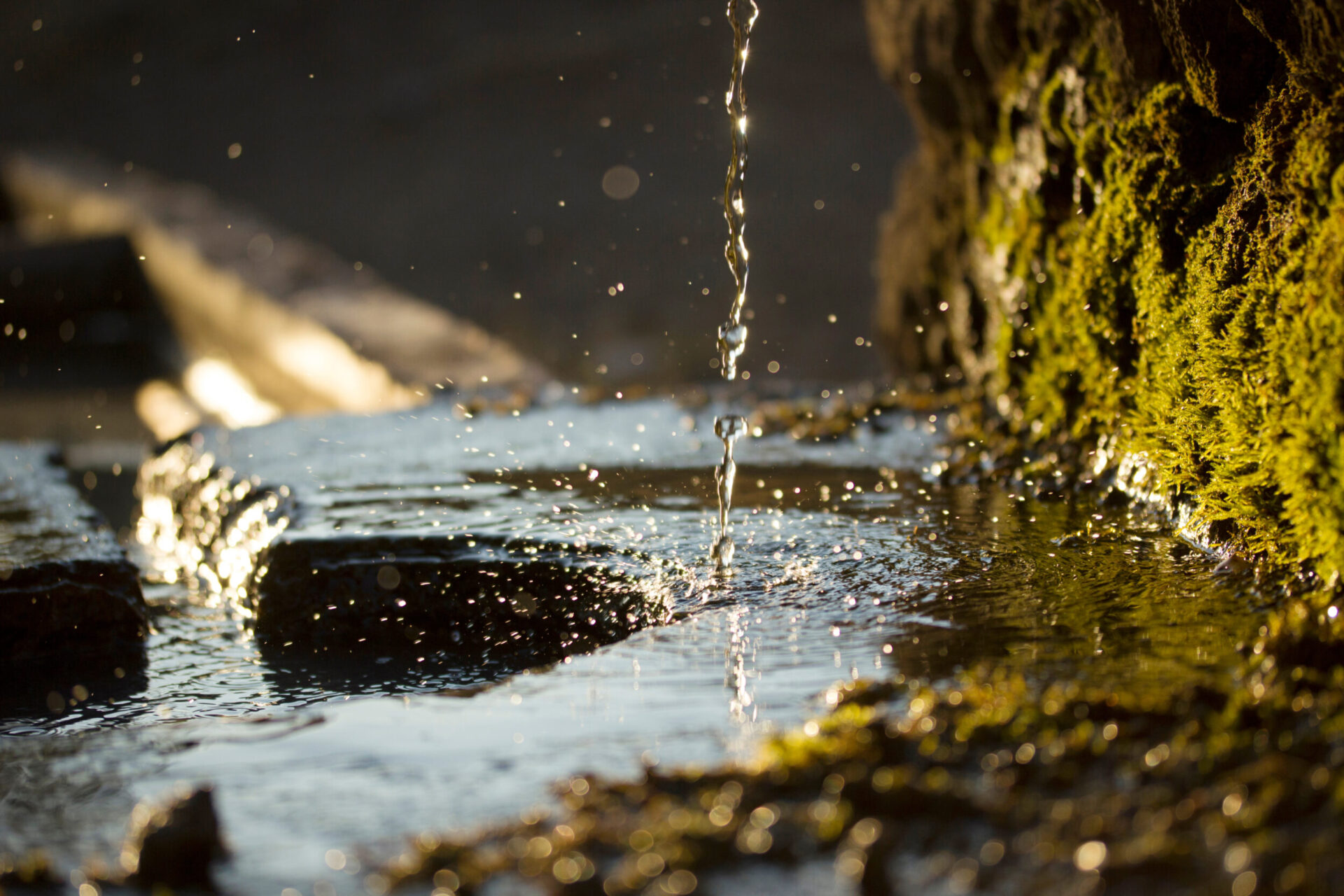 Das Bild zeigt eine Nahaufnahme von Wasser, das auf eine mit Moos bewachsene Oberfläche tropft. Die Tropfen erzeugen kleine Spritzer und Wellen auf der Wasseroberfläche, die von Sonnenlicht beleuchtet wird. Rechts ist ein Felsen oder eine Steinfläche mit dichtem grünem Moos zu sehen, während der Hintergrund unscharf bleibt und die Szene eine natürliche Quelle oder einen Bach vermuten lässt.