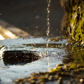 Das Bild zeigt eine Nahaufnahme von Wasser, das auf eine mit Moos bewachsene Oberfläche tropft. Die Tropfen erzeugen kleine Spritzer und Wellen auf der Wasseroberfläche, die von Sonnenlicht beleuchtet wird. Rechts ist ein Felsen oder eine Steinfläche mit dichtem grünem Moos zu sehen, während der Hintergrund unscharf bleibt und die Szene eine natürliche Quelle oder einen Bach vermuten lässt.