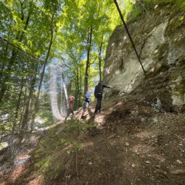 Das Bild zeigt eine steile Waldhanglage mit felsigem Untergrund, an dem ein Steinschlagschutznetz befestigt ist. Drei Personen stehen auf dem Hang und arbeiten an den Sicherungselementen, wobei ein Spannseil und große Metallringe sichtbar sind. Die Umgebung ist dicht bewaldet, das Licht fällt durch die grünen Blätter und erzeugt eine helle, natürliche Atmosphäre.