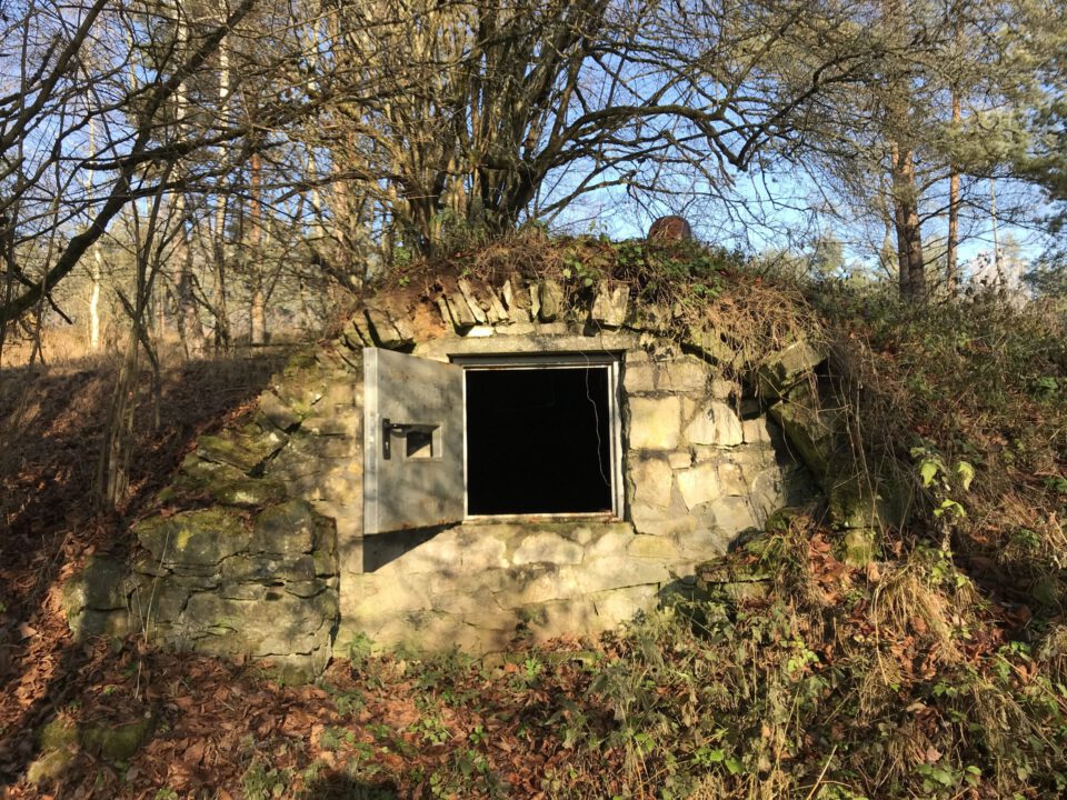 Das Bild zeigt einen kleinen Kellereingang, der in eine Böschung eingebaut ist und aus grob behauenen Natursteinen besteht. In der Mitte befindet sich eine rechteckige Öffnung mit einer geöffneten Metalltür, die in einen dunklen Innenraum führt. Die Umgebung ist von Laub, Sträuchern und einem großen Baum über dem Eingang geprägt, während die Oberseite des Bauwerks mit Erde und Vegetation bedeckt ist.