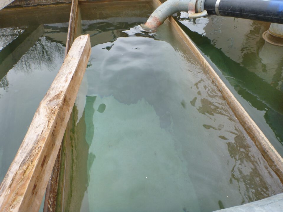 Das Bild zeigt ein rechteckiges Wasserbecken aus Metall, das mit klarem Wasser gefüllt ist. Am oberen Rand mündet ein großes Rohr in das Becken, durch das Wasser einströmt. Die Oberfläche des Wassers ist ruhig.
