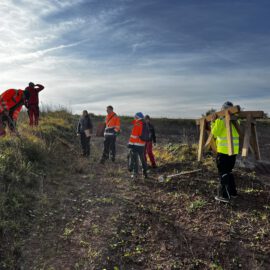 Das Bild zeigt eine Gruppe von Personen, die auf einer offenen Fläche mit leichtem Bewuchs arbeiten. Mehrere Personen tragen auffällige Warnwesten in Orange oder Gelb und halten Werkzeuge oder Materialien in den Händen. Im Hintergrund ist ein Erdhang zu sehen, und die Szene spielt unter freiem Himmel bei sonnigem Wetter mit leicht bewölktem Himmel.