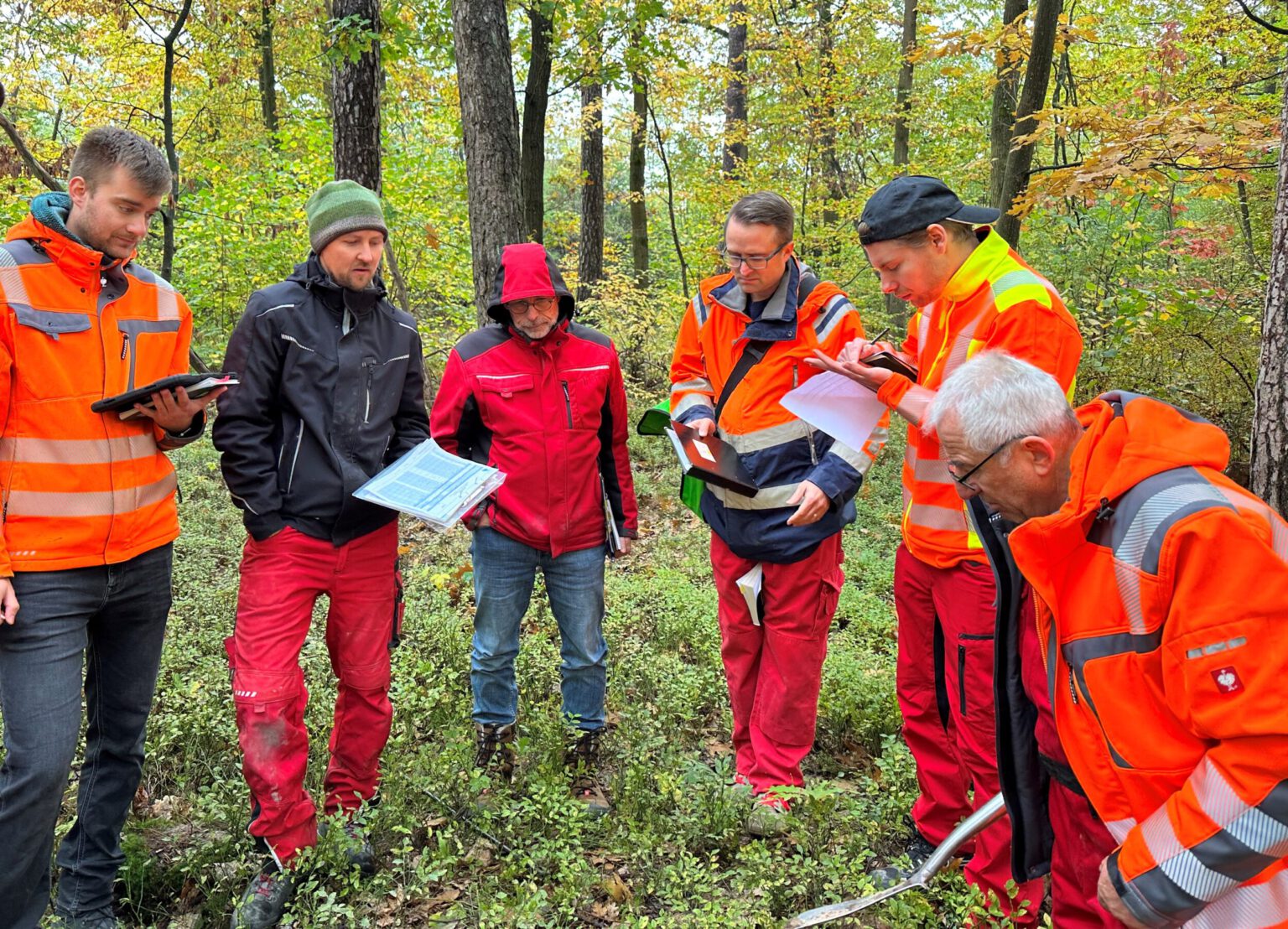 Das Bild zeigt eine Gruppe von sechs Personen, die in einem Wald zusammenstehen. Die Personen tragen überwiegend orangefarbene Warnjacken, einige auch rote oder dunkle Kleidung, und halten Unterlagen sowie Tablets in den Händen. Der Boden ist mit grüner Vegetation bedeckt, und im Hintergrund sind zahlreiche Bäume mit herbstlich gefärbten Blättern zu sehen.