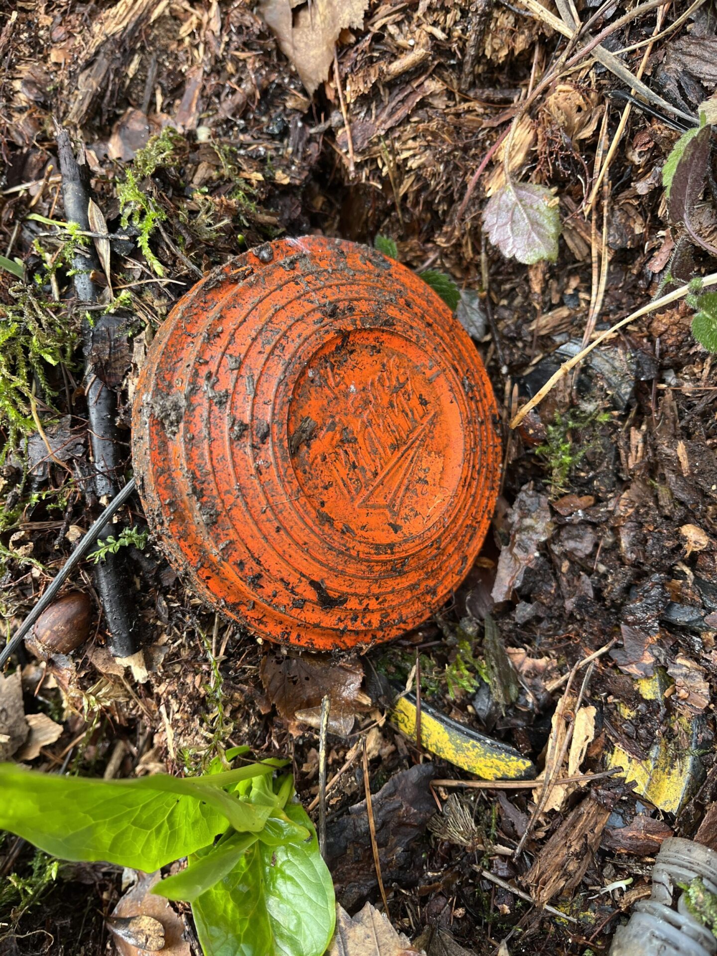 Eine leuchtend orangefarbene Wurfscheibe liegt verschmutzt auf feuchtem Waldboden zwischen Laub, Moos und kleinen Ästen. Die kräftige Farbe hebt sich deutlich von der natürlichen Umgebung ab.