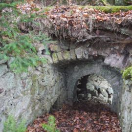Das Bild zeigt ein altes, teilweise verfallenes Eingangsportal aus Naturstein, das in den Boden eingelassen ist. Die Öffnung ist von einem gemauerten Rundbogen umrahmt, über dem Erdreich und Wurzeln sichtbar sind, die in die Struktur hineinragen. Auf dem Boden liegen zahlreiche braune Blätter, und die Umgebung ist von Moos und kleinen Pflanzen bedeckt, was auf eine feuchte Waldlage hinweist.