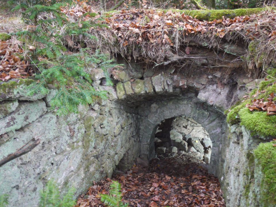 Das Bild zeigt ein altes, teilweise verfallenes Eingangsportal aus Naturstein, das in den Boden eingelassen ist. Die Öffnung ist von einem gemauerten Rundbogen umrahmt, über dem Erdreich und Wurzeln sichtbar sind, die in die Struktur hineinragen. Auf dem Boden liegen zahlreiche braune Blätter, und die Umgebung ist von Moos und kleinen Pflanzen bedeckt, was auf eine feuchte Waldlage hinweist.