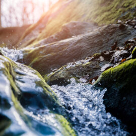 Das Bild zeigt einen kleinen Bach oder Wasserlauf, der zwischen moosbedeckten Felsen hindurchfließt. Das Wasser spritzt und glitzert im Sonnenlicht, während im Hintergrund unscharf Bäume und ein heller Himmel zu erkennen sind. Die Szene wirkt natürlich und lebendig, mit sattem Grün und dynamischer Bewegung des Wassers.