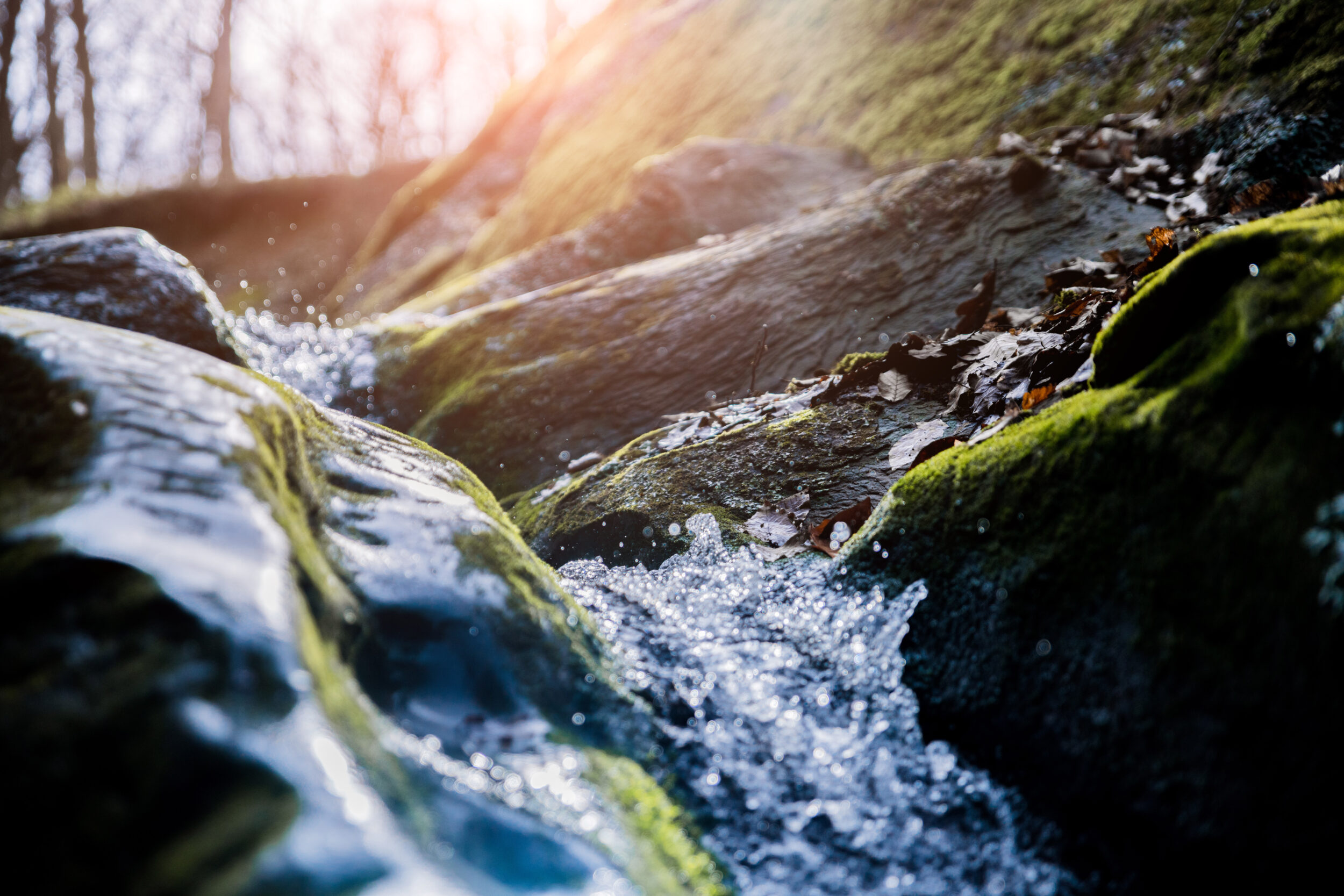 Das Bild zeigt einen kleinen Bach oder Wasserlauf, der zwischen moosbedeckten Felsen hindurchfließt. Das Wasser spritzt und glitzert im Sonnenlicht, während im Hintergrund unscharf Bäume und ein heller Himmel zu erkennen sind. Die Szene wirkt natürlich und lebendig, mit sattem Grün und dynamischer Bewegung des Wassers.