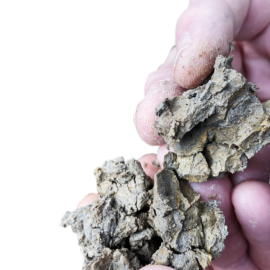 Das Bild zeigt eine Hand, die mehrere bröselige, erdige Gesteinsstücke zwischen den Fingern hält. Die Struktur wirkt trocken, rissig und schichtartig.