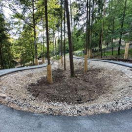 Das Bild zeigt einen neu angelegten, geschwungenen Weg, der sich durch ein bewaldetes Gebiet zieht. In der Mitte der Kurve stehen mehrere junge Bäume mit Schutzvorrichtungen am Stamm. Der Untergrund rund um den Weg besteht aus frischem Erdreich und hellem Kies.