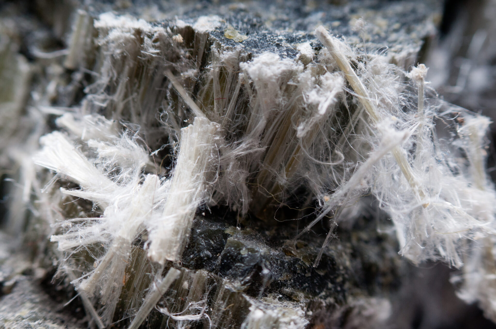 Das Bild zeigt eine extreme Nahaufnahme eines stark faserigen, grauen Materials mit zahlreichen feinen, weißen Fasern, die aus der Oberfläche herausragen. Die Struktur wirkt brüchig und unregelmäßig, mit klar erkennbaren Schichtungen im Inneren.