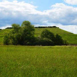 Das Bild zeigt eine weitläufige grüne Wiese mit dichtem Gras im Vordergrund. Dahinter erhebt sich ein sanft geneigter Hügel, der vollständig mit Gras bewachsen ist und von einigen Büschen und Bäumen am unteren Rand begleitet wird. Am oberen Rand des Hügels sind dunklere Sträucher oder Hecken zu erkennen, während der Himmel im Hintergrund von weißen Wolken und blauen Bereichen geprägt ist.