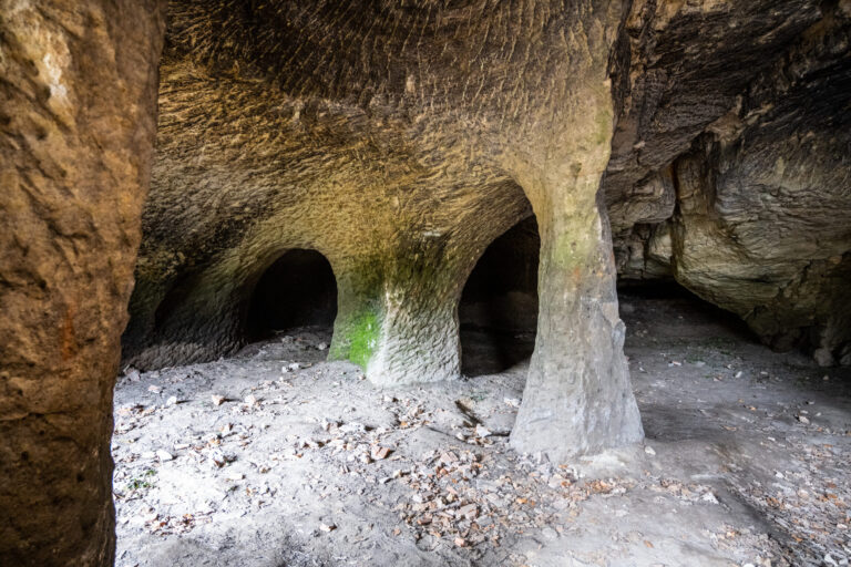Das Foto zeigt einen weitläufigen unterirdischen Felsraum mit unregelmäßig geformten Pfeilern, die Decke und Boden miteinander verbinden. Im Hintergrund führen mehrere niedrige, dunkle Öffnungen in weitere Höhlenbereiche, während der Boden mit Erde, kleinen Steinen und vereinzelten Laubresten bedeckt ist.