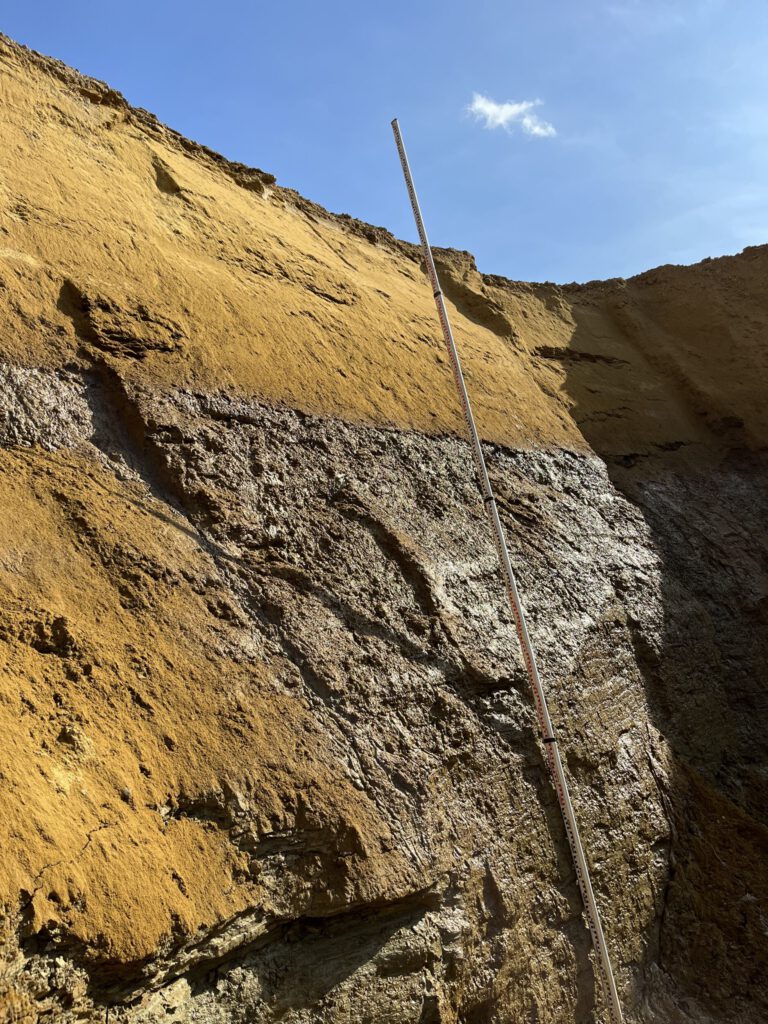 Das Bild zeigt eine aufgeschlossene Erdwand mit deutlich sichtbaren Bodenschichten in unterschiedlichen Farben und Strukturen. Die oberen Schichten sind hellbraun und sandig, während die unteren Bereiche dunkler und kompakter wirken. In der Mitte des Bildes steht eine lange Messlatte, die zur Vermessung oder Dokumentation der Schichtgrenzen dient, und darüber ist ein klarer blauer Himmel zu sehen.