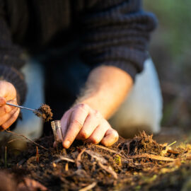 Das Bild zeigt eine Person, die kniend auf dem Waldboden eine Bodenprobe entnimmt. Mit einer kleinen Metallspatel wird Erde in ein transparentes Probenröhrchen gefüllt, das in der anderen Hand gehalten wird. Der Boden ist mit brauner Erde, kleinen Zweigen und Moos bedeckt, und die Szene ist von natürlichem Licht durchzogen, was auf eine Untersuchung im Freien hinweist.