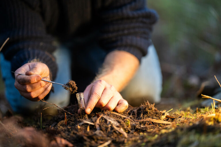 Das Bild zeigt eine Person, die kniend auf dem Waldboden eine Bodenprobe entnimmt. Mit einer kleinen Metallspatel wird Erde in ein transparentes Probenröhrchen gefüllt, das in der anderen Hand gehalten wird. Der Boden ist mit brauner Erde, kleinen Zweigen und Moos bedeckt, und die Szene ist von natürlichem Licht durchzogen, was auf eine Untersuchung im Freien hinweist.
