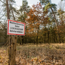 Das Bild zeigt ein Waldgebiet mit Bäumen und trockenem Gras im Vordergrund. An einem Baum ist ein rechteckiges Warnschild befestigt, das auf eine Gefahr hinweist. Die Szene vermittelt den Eindruck eines abgesperrten oder gefährlichen Bereichs in der Natur.