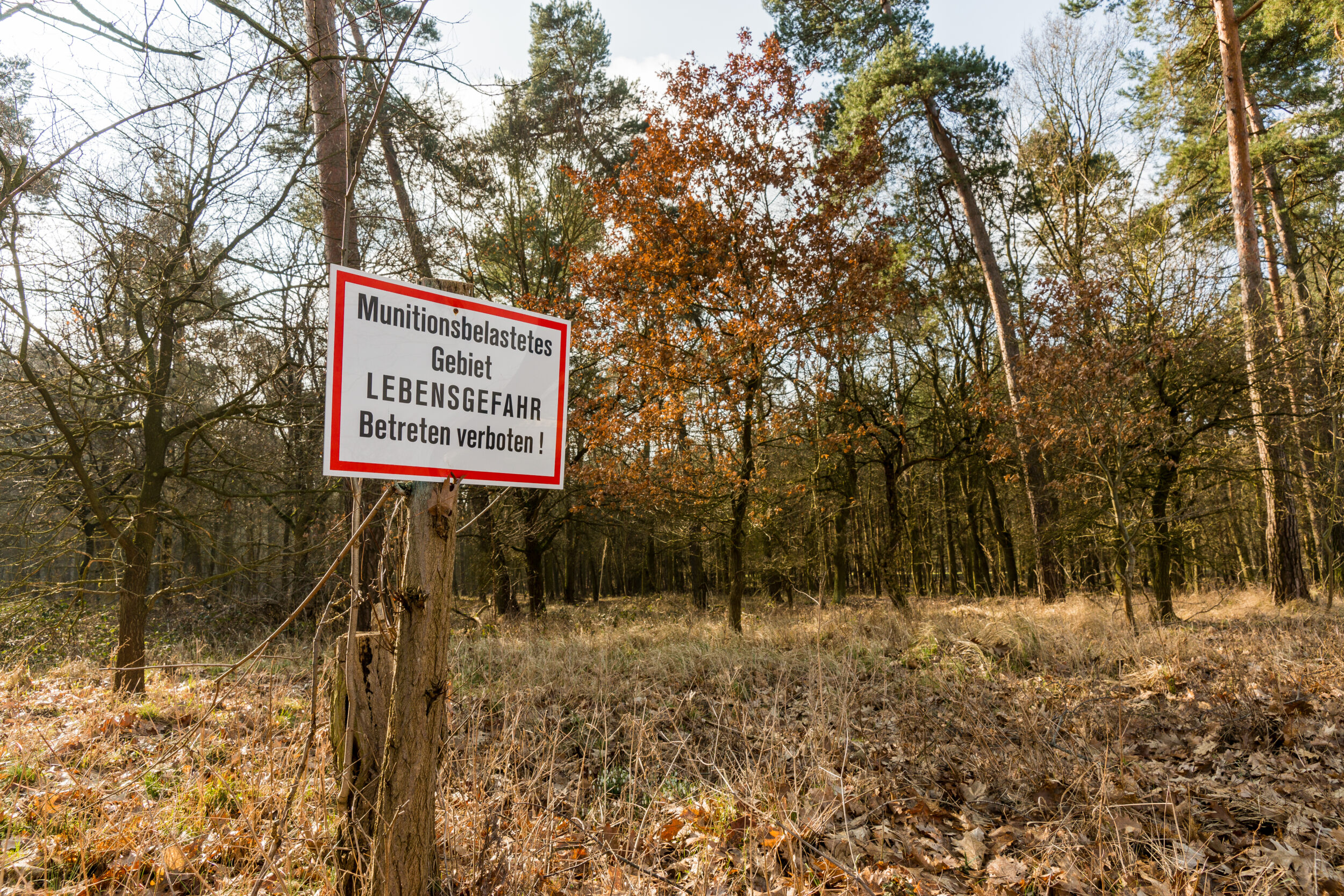 Das Bild zeigt ein Waldgebiet mit Bäumen und trockenem Gras im Vordergrund. An einem Baum ist ein rechteckiges Warnschild befestigt, das auf eine Gefahr hinweist. Die Szene vermittelt den Eindruck eines abgesperrten oder gefährlichen Bereichs in der Natur.