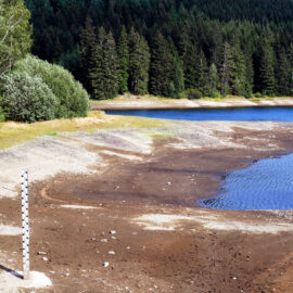 Das Bild zeigt das Ufer eines Gewässers mit deutlich sichtbarem niedrigen Wasserstand. Der Vordergrund besteht aus trockenem, braunem Boden mit vereinzelten Steinen und einer Messlatte zur Pegelanzeige. Im Hintergrund sind dicht bewachsene grüne Bäume und das blaue Wasser des Sees zu sehen, das sich bis zum Waldrand erstreckt.