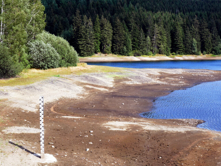 Das Bild zeigt das Ufer eines Gewässers mit deutlich sichtbarem niedrigen Wasserstand. Der Vordergrund besteht aus trockenem, braunem Boden mit vereinzelten Steinen und einer Messlatte zur Pegelanzeige. Im Hintergrund sind dicht bewachsene grüne Bäume und das blaue Wasser des Sees zu sehen, das sich bis zum Waldrand erstreckt.