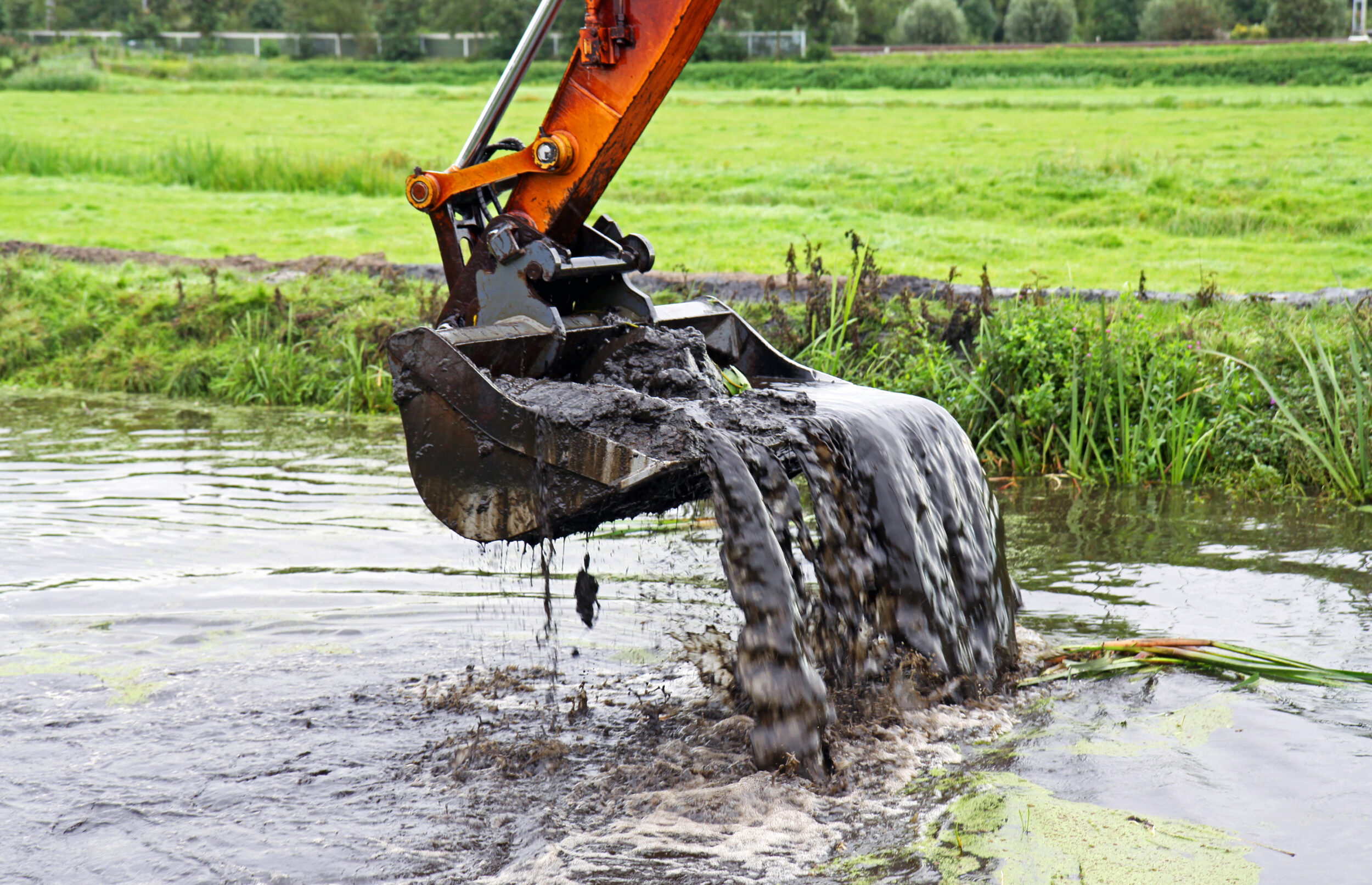 Das Bild zeigt den Greifarm eines Baggers, der aus einem Gewässer dunklen, schlammigen Boden hebt. Aus der Schaufel fließt Wasser zurück in das Gewässer, während der Schlamm teilweise daran haftet. Im Hintergrund ist eine grüne Wiese mit dichtem Gras und vereinzelten Pflanzen zu sehen, die von einem klaren blauen Himmel überdeckt wird.