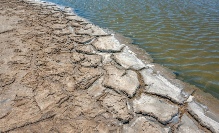 Das Bild zeigt den Rand eines Gewässers mit braunem, rissigem Boden, der durch Austrocknung eine deutliche Schollenstruktur gebildet hat. Direkt daneben befindet sich Wasser mit einer leicht grünlich-braunen Färbung und kleinen Wellen, die eine ruhige Bewegung anzeigen.