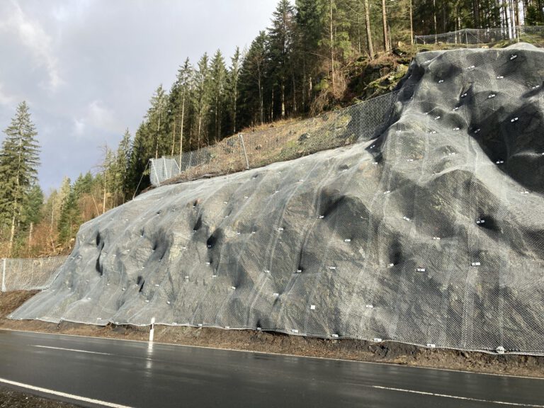 Das Bild zeigt eine steile Böschung, die vollständig mit einem engmaschigen Drahtnetz gesichert ist. Das Netz ist großflächig über die unregelmäßige Oberfläche gespannt und mit zahlreichen Befestigungspunkten fixiert. Im Hintergrund stehen hohe Nadelbäume auf dem Hang, während im Vordergrund eine asphaltierte Straße verläuft, die parallel zur Böschung führt.