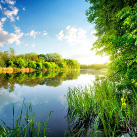 Das Bild zeigt eine ruhige Flusslandschaft an einem sonnigen Tag. Im Vordergrund wachsen grüne Gräser und gelbe Blumen am Ufer, während rechts dichte Bäume mit frischem Laub zu sehen sind. Der Fluss spiegelt die Bäume und den blauen Himmel mit weißen Wolken, und am gegenüberliegenden Ufer erstreckt sich ein grüner Waldstreifen.