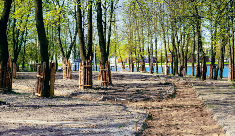 Das Bild zeigt eine Baustelle in einem Parkbereich mit vielen Bäumen, die in Reihen stehen. Der Boden ist größtenteils aufgelockert und zeigt vorbereitete Flächen für Wege oder Pflanzungen, einige Bereiche sind mit Holzpflöcken markiert. Um mehrere Bäume sind Holzschutzvorrichtungen angebracht, und im Hintergrund ist ein Gewässer sowie grüne Wiesen sichtbar.
