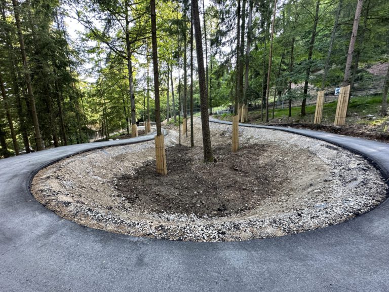 Das Bild zeigt eine neu angelegte Kurve in einem Waldgebiet, die von einem asphaltierten Weg umgeben ist. In der Mitte der Kurve befinden sich mehrere Bäume, die mit Holzschutzvorrichtungen gesichert sind, und der Boden ist mit Schotter und Erde bedeckt. Rundherum stehen weitere Bäume, die von dichtem grünen Wald umgeben sind, was auf eine naturnahe Gestaltung hinweist.