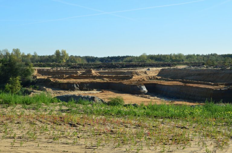 Das Bild zeigt eine große offene Sand- und Erdfläche, die wie eine Abbau- oder Verfüllungsstelle wirkt. Mehrere terrassenförmige Ebenen sind erkennbar, die durch unterschiedliche Höhen und Schichten aus hellem Erdmaterial gebildet werden. Im Vordergrund wachsen vereinzelte Gräser und kleine Pflanzen, während im Hintergrund eine Baumreihe unter einem klaren blauen Himmel mit dünnen Wolkenstreifen zu sehen ist.